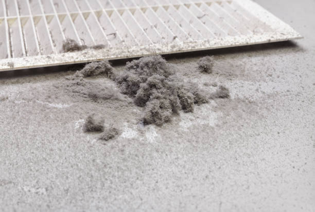 Best Air Duct Mold Removal  in Albion, MI