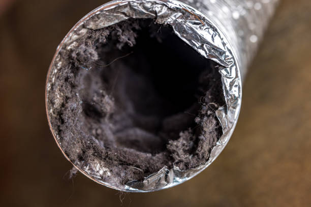 Best Air Duct Cleaning Near Me  in Albion, MI