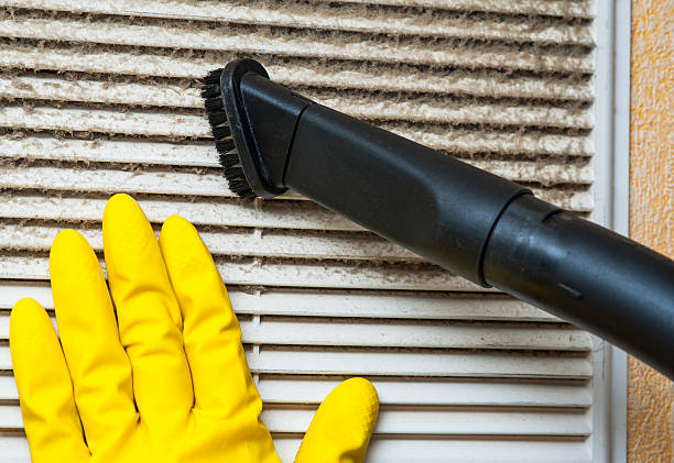 Best Dryer Vent Cleaning Services  in Albion, MI